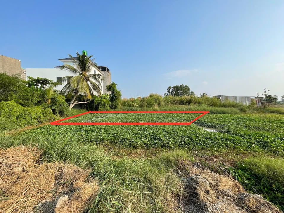 Đất thổ cư Hẻm 333 Quang Trung, P. Vĩnh Quang, 166m² - Giá chỉ 650 triệu!