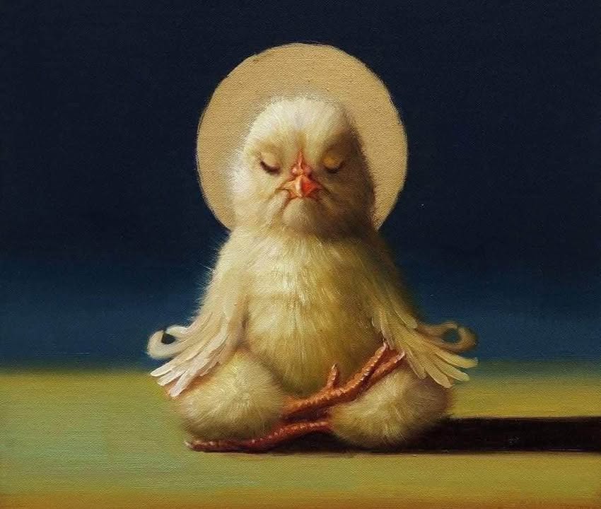 Đất nền Quảng Vinh - Quảng Điền 137m² chỉ 300 triệu - Sổ đỏ chính chủ, khu dân cư đông đúc!