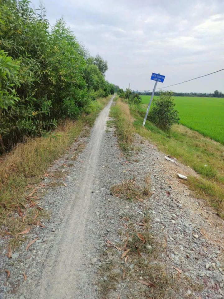 Đất nông nghiệp 46 công tại Thạnh An, Thạnh Hóa - Giá 1.45 tỷ, thương lượng chính chủ!