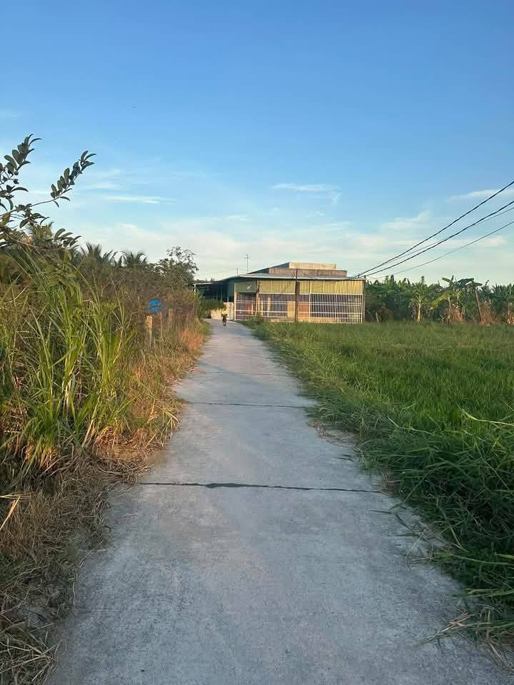 Đất nông nghiệp 3000m² tại xã An Vĩnh Ngãi, Tân An - Giá chỉ 1.2 tỷ, thích hợp nghỉ dưỡng!