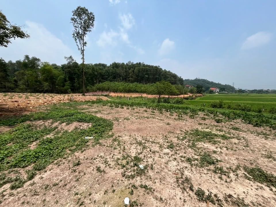 Đất nền Tân Minh, Sóc Sơn 1201m² giá 10 tỷ - Cơ hội đầu tư hấp dẫn!