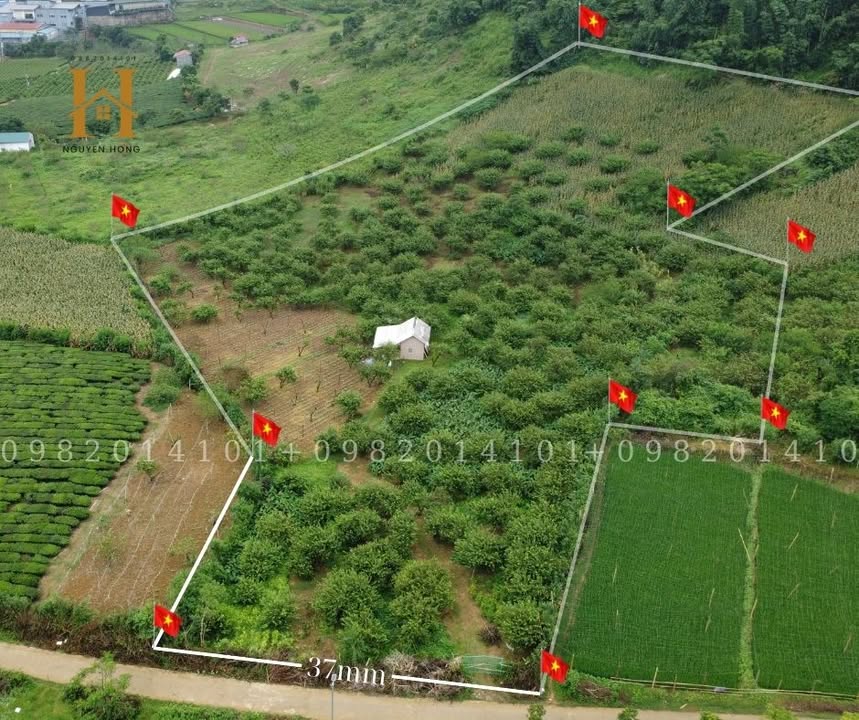 Đất Vân Hồ Sơn La 1ha giá thỏa thuận - Đầu tư sinh lời ngay!