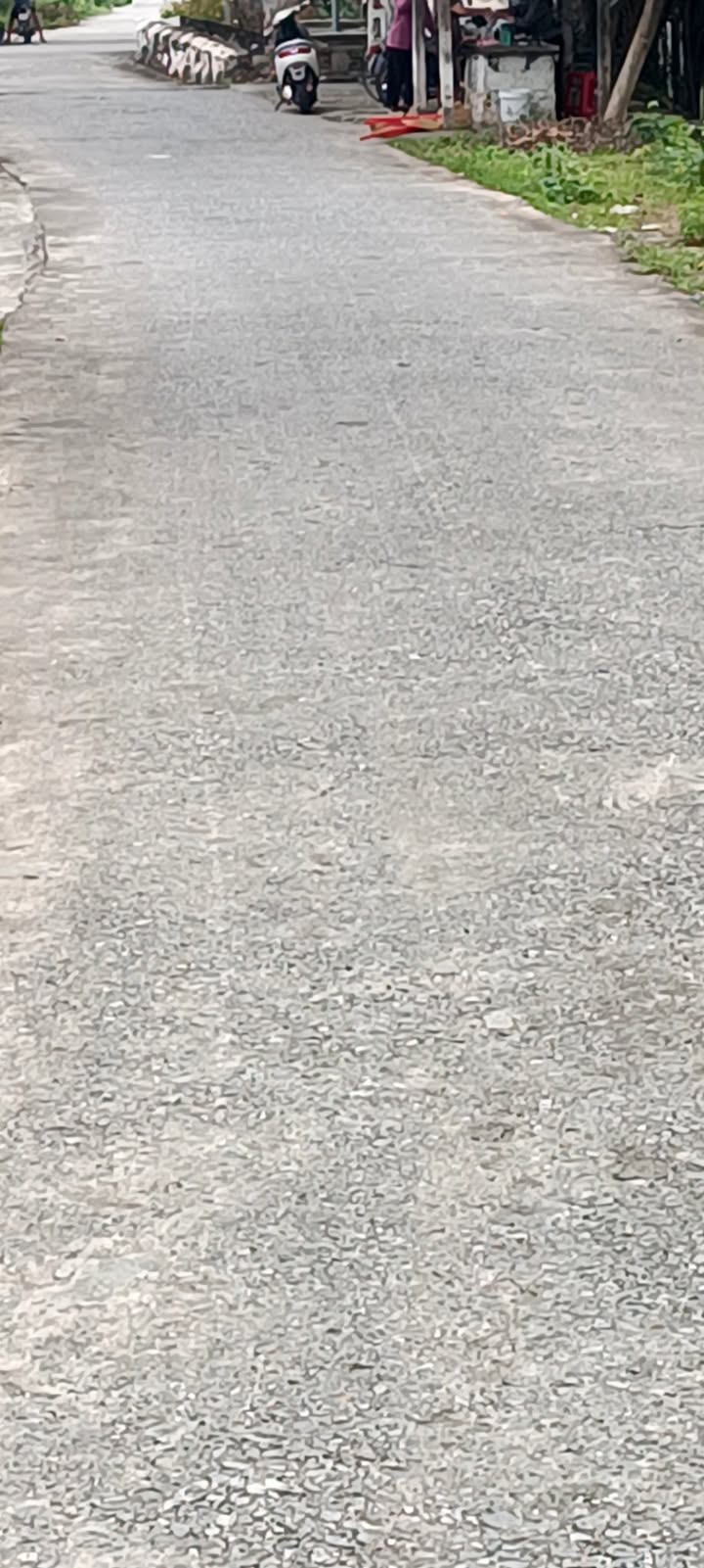 Đất nền xã Hải Đường 195m² giá thỏa thuận - Vị trí đắc địa gần chợ