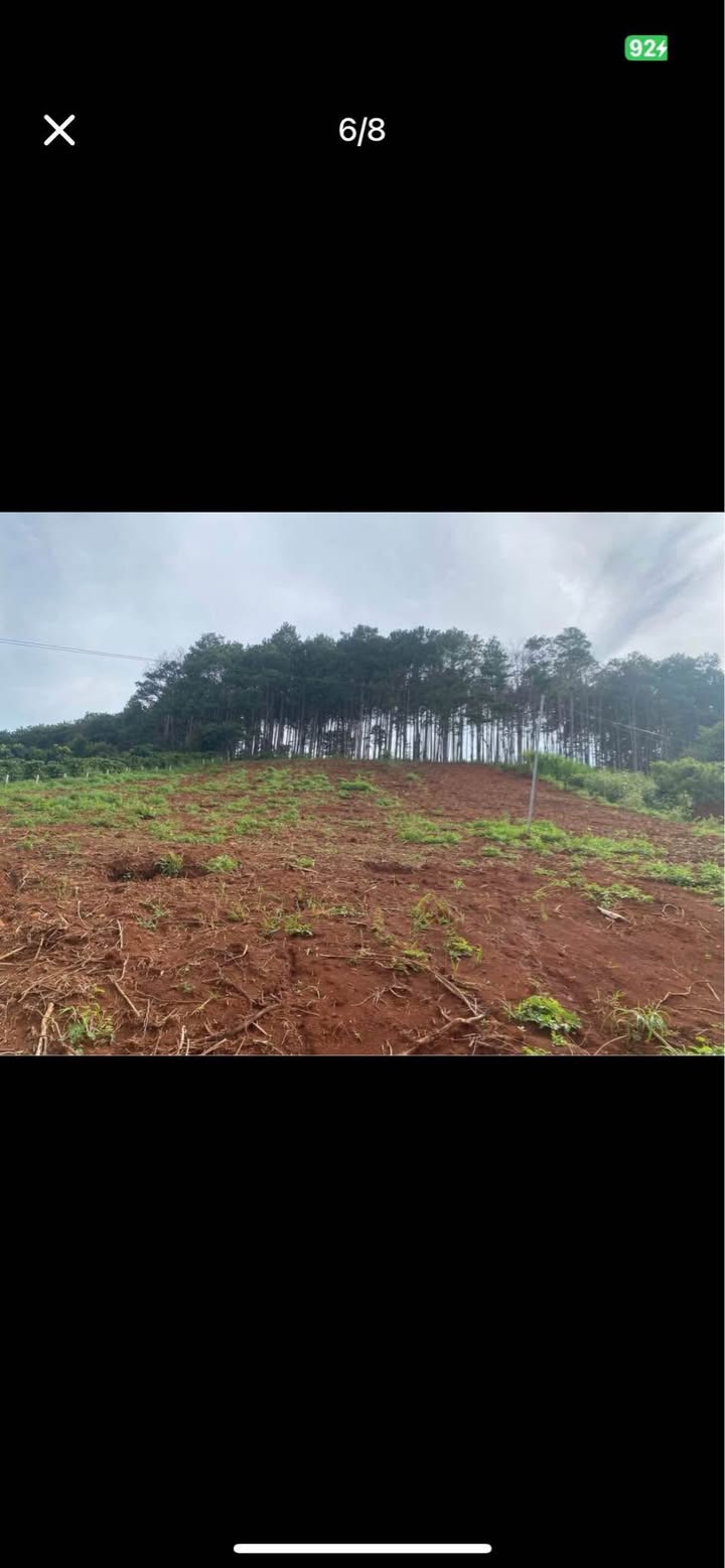 Đất nền tại Nam Ban, Lâm Hà 401m² giá 1.25 tỷ - Sổ đỏ chính chủ, view cao thoáng