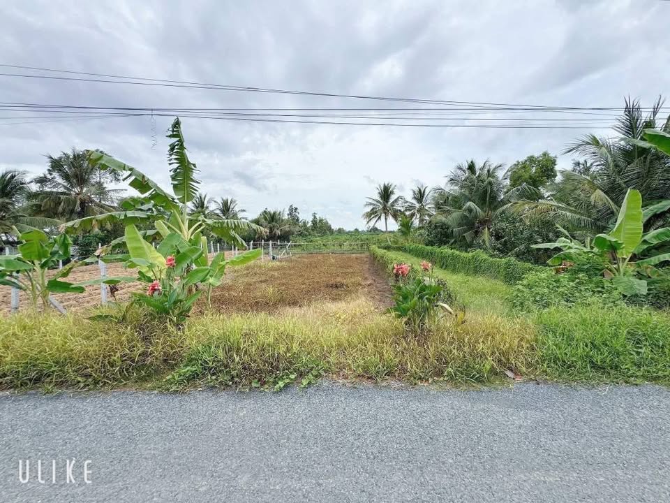 Đất nền Bình Ninh, Tam Bình 150m² giá 290 triệu - Sổ hồng chính chủ, đầu tư sinh lời!