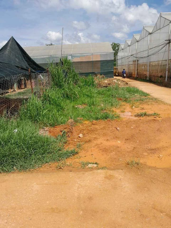 Đất 2 mặt tiền Nguyễn Hữu Cầu, phường 12, Đà Lạt 101.8m² - Cơ hội đầu tư tuyệt vời!