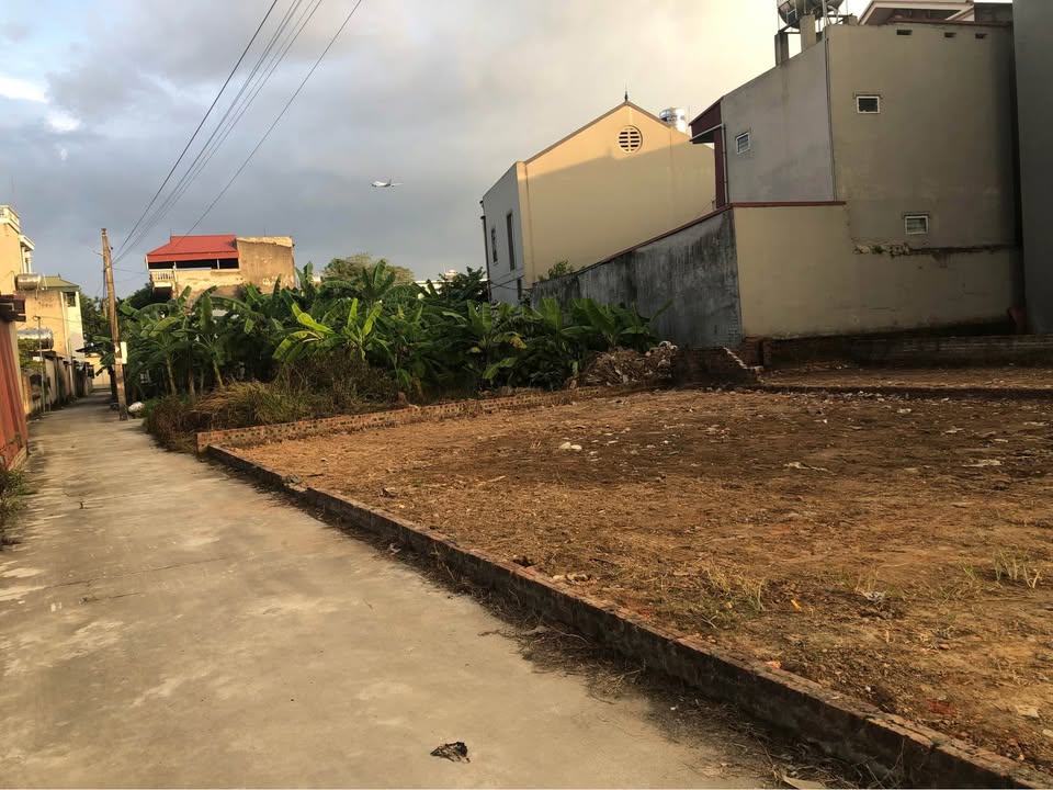 Đất thổ cư 41m² tại Mai Đình, Sóc Sơn - Giá thương lượng hấp dẫn!