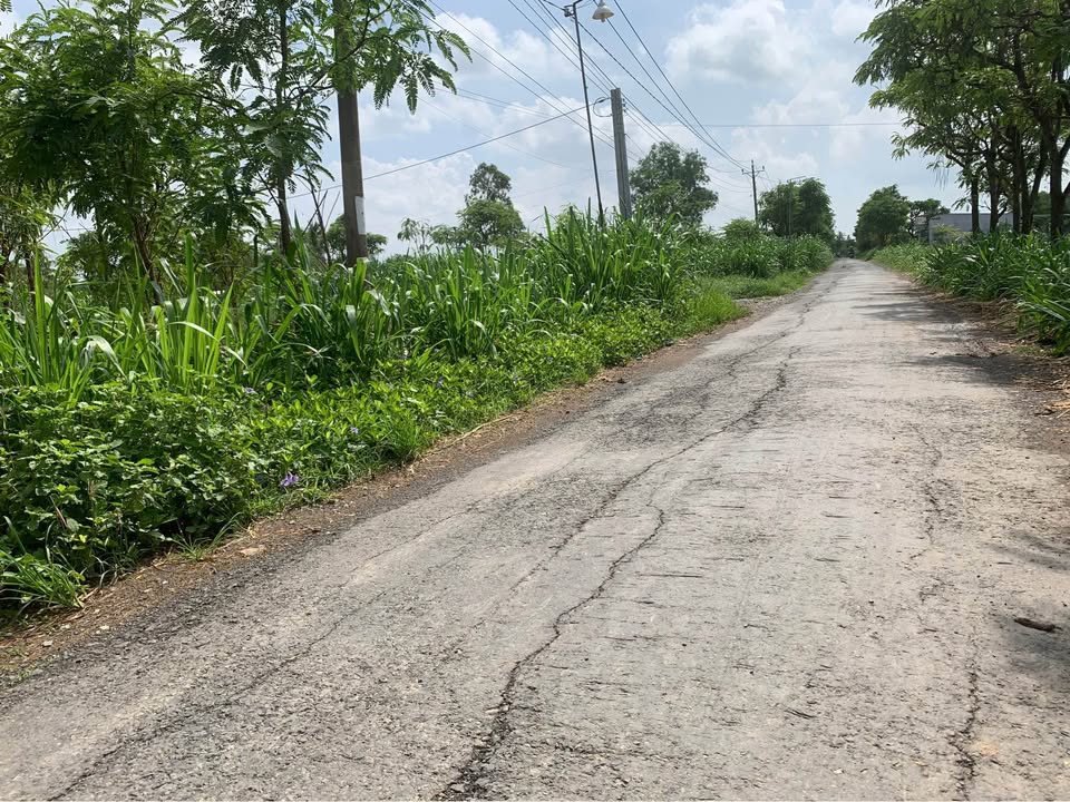 Đất nền Tân Hoà, Đồng Tháp 1498m² - Đầu tư sinh lời dễ dàng!