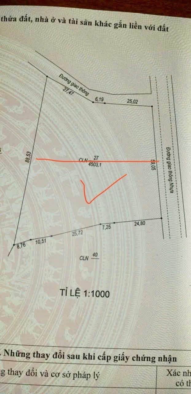 Đất nông nghiệp 2000m² tại Phú Định, Bố Trạch - Sổ đỏ chính chủ, giá tốt!