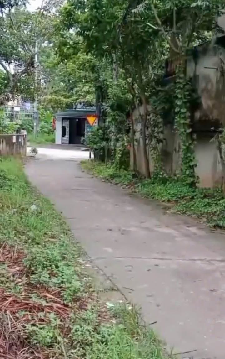 Đất nền phường Nông Tiến TP. Tuyên Quang 500m² giá 1.4 tỷ - Đường vào nhà văn hóa rộng rãi!