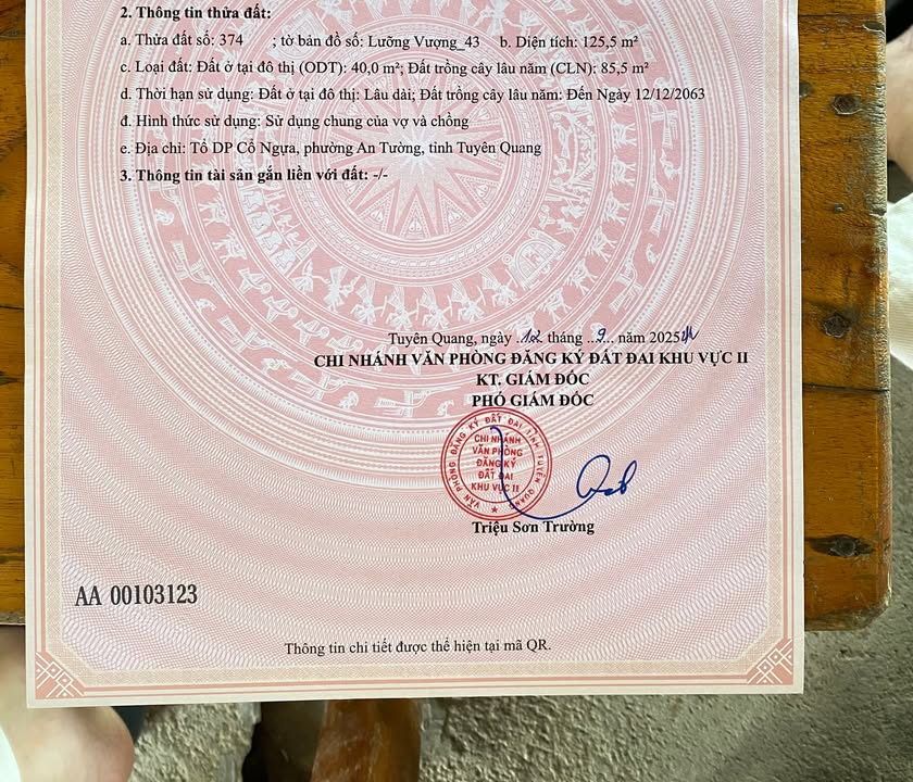 Đất nền khu phố Cổ Ngựa, phường An Tường 125m² chỉ 900 triệu - Cơ hội đầu tư hiếm có!