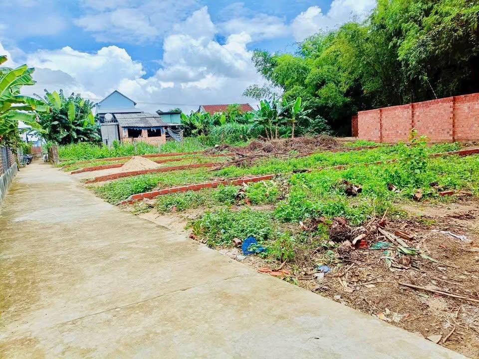 Đất nền Nhơn Hoà, An Nhơn 120m² giá 330 triệu - Đầu tư sinh lời ngay!