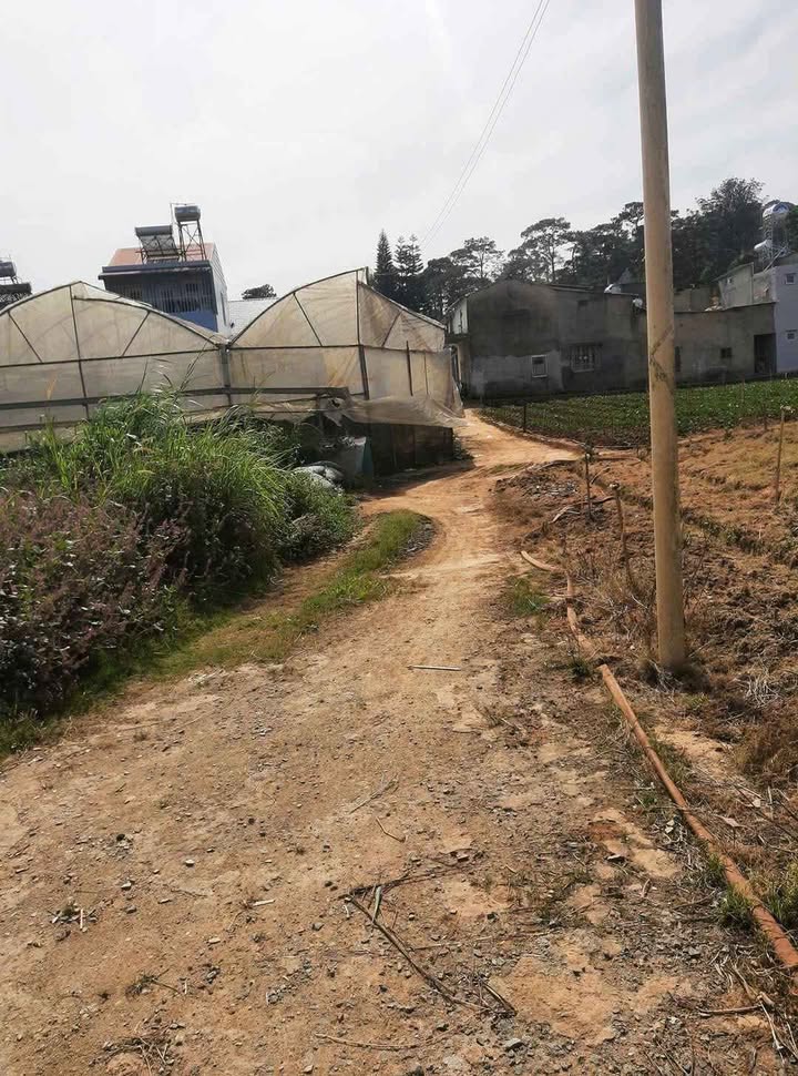 Đất nền đường Hàn Thuyên, Đà Lạt 62.2m² giá 570 triệu - View thoáng mát