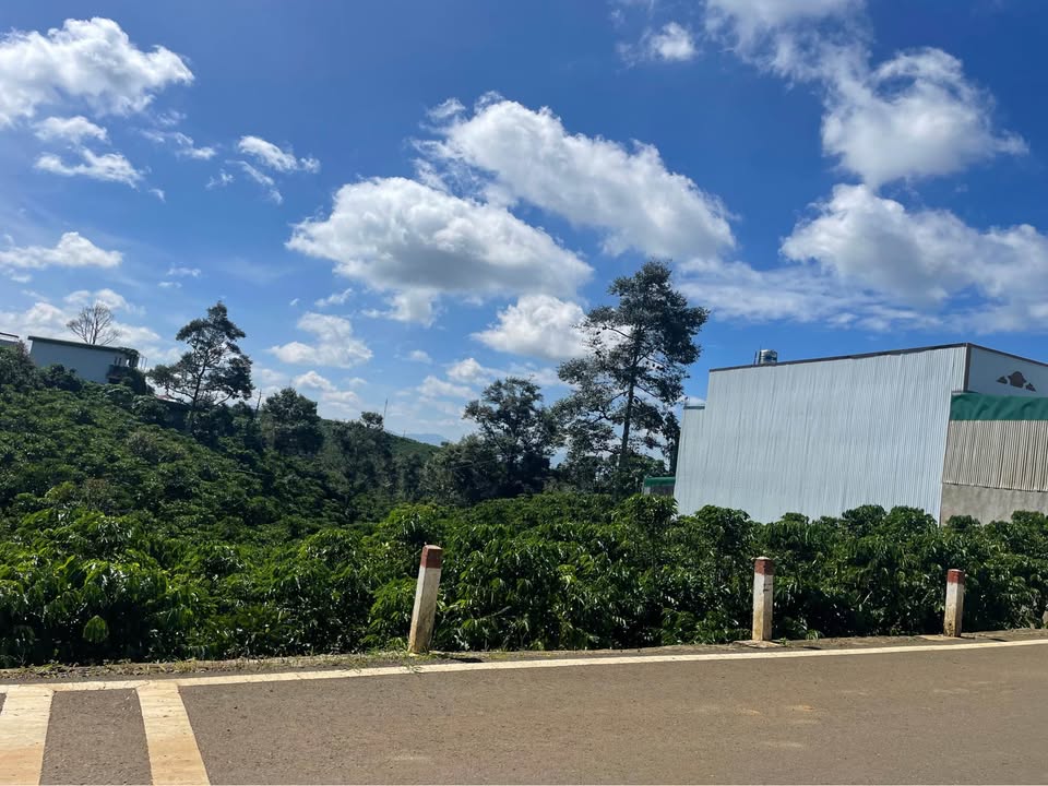 Đất thổ cư chính chủ tại mặt tiền đường Trần Quang Khải, Bảo Lộc 480m² - Đầu tư sinh lời ngay!