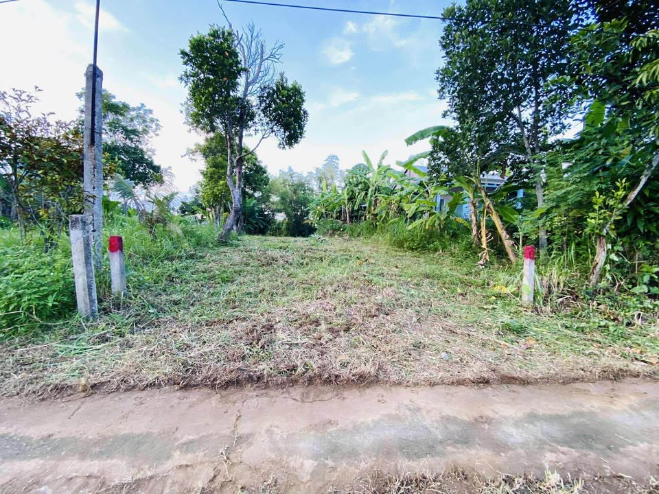 Đất nền Điện Thọ 330m² giá 400 triệu - Sổ hồng trao tay, chính chủ bán gấp!