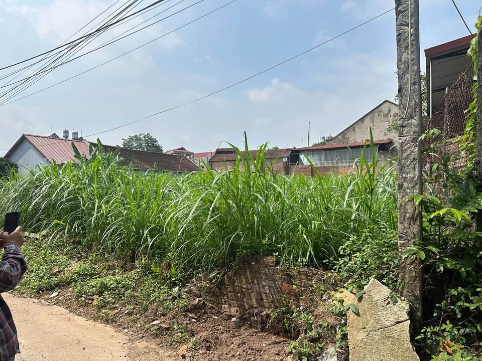 Đất thổ cư Hương Sơn, Phú Bình 130m² giá 1.3 tỷ - Cơ hội đầu tư hấp dẫn!