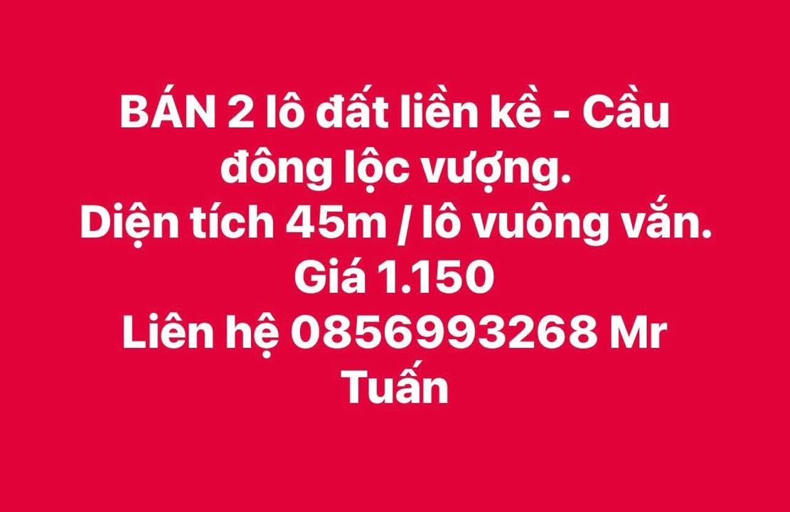 Đất nền Cầu Đông, Lộc Vượng 90m² giá 2.3 tỷ - Đầu tư sinh lời ngay!