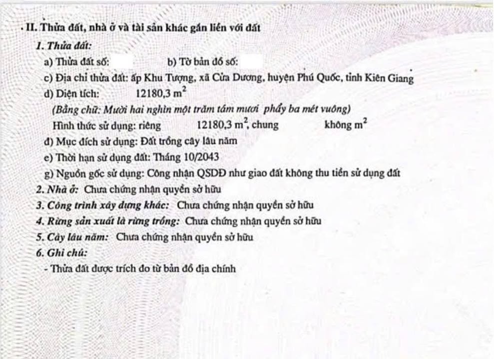 Đất nền 12.000m² mặt tiền đường Ba Trại, Phú Quốc - Giá tốt cho nhà đầu tư!