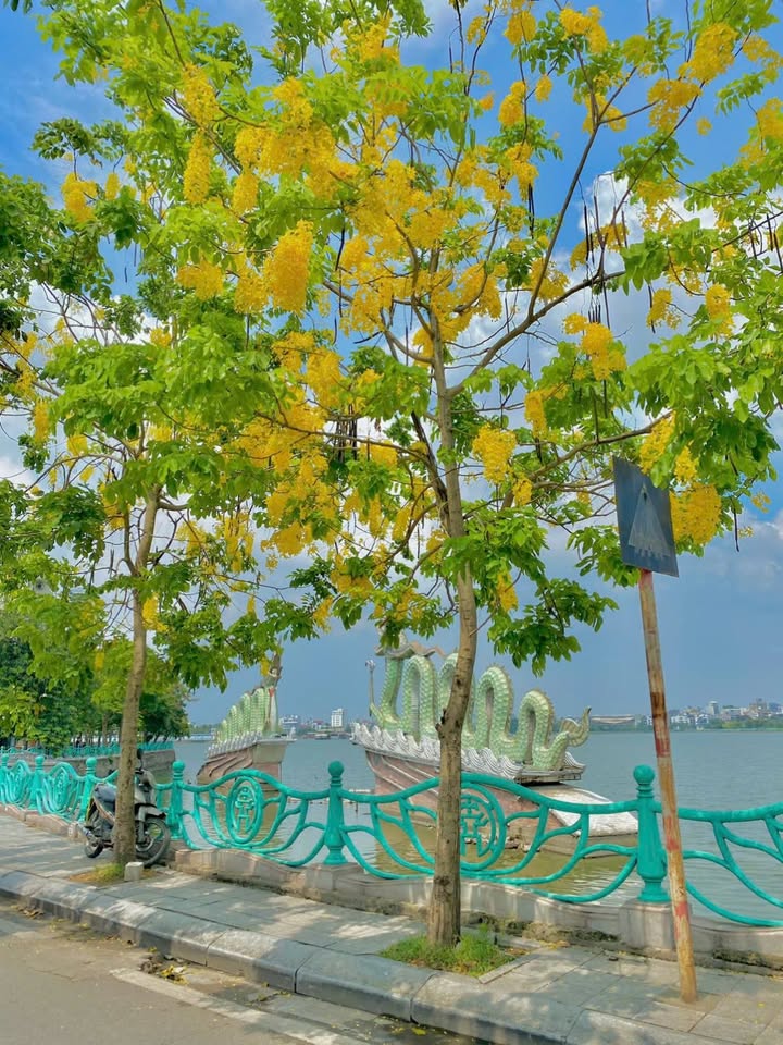 Căn hộ CCMN Võng Thị 50m² giá 2 tỷ - Vị trí đắc địa sát Hồ Tây!