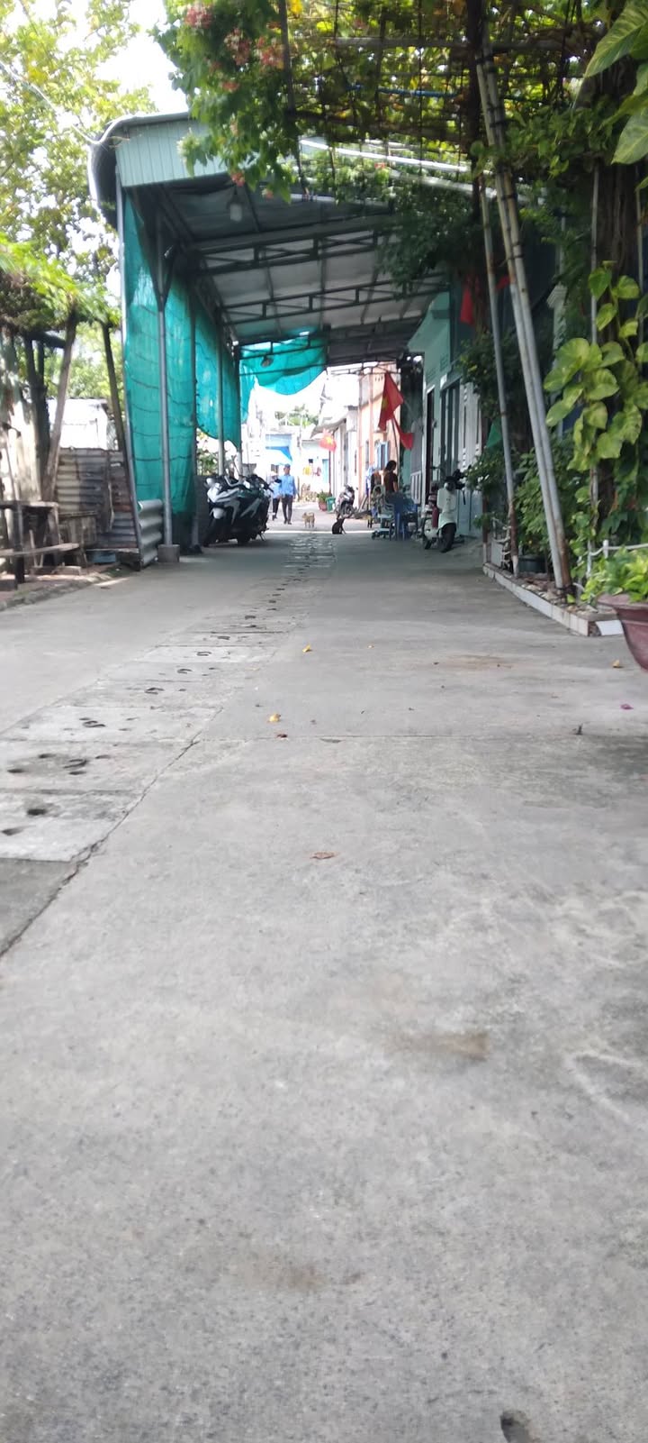 Đất nền xã Long Hải, Bà Rịa - Vũng Tàu 93,9m² chỉ 1,4 tỷ - Sổ đỏ chính chủ