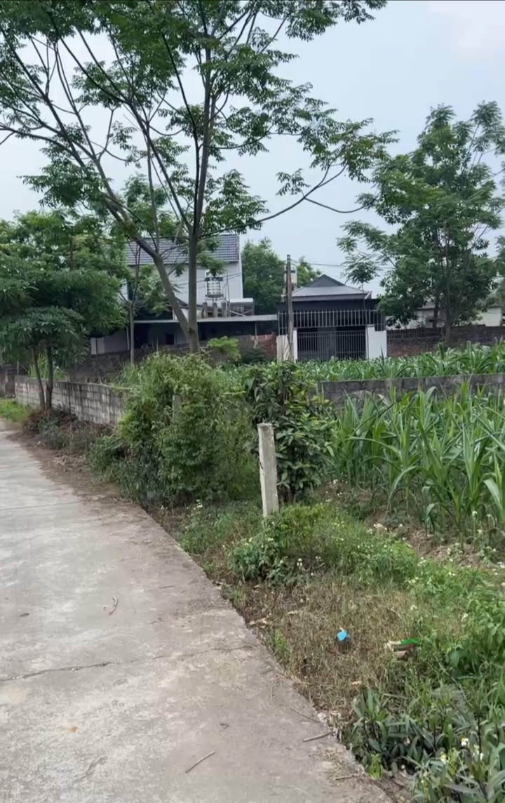 Đất thổ cư góc 2 mặt tiền tại Đắc Sơn, Phổ Yên - Giá chỉ 800 triệu!