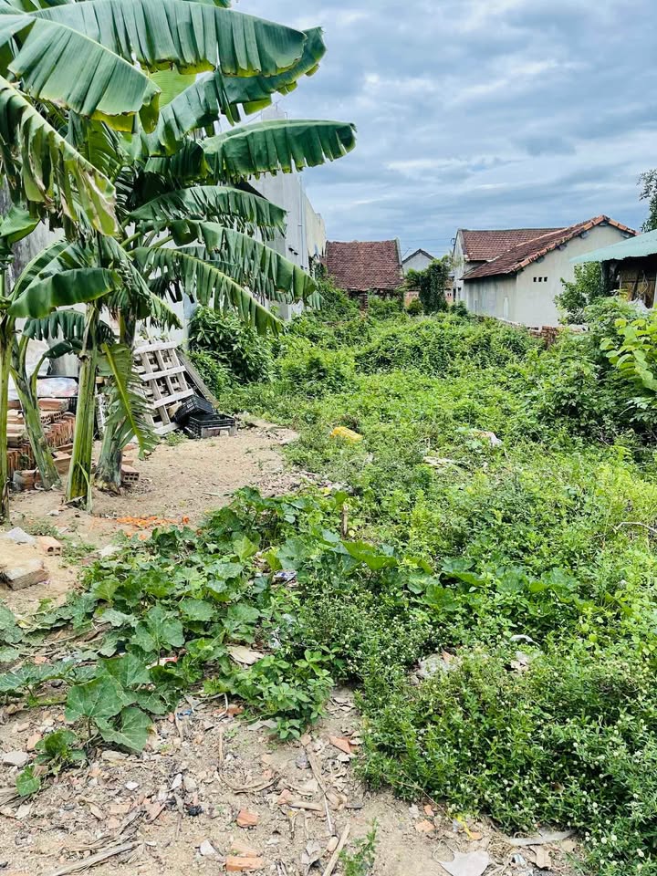 Đất nền Bình Nghi, Tây Sơn 180m² giá 600 triệu - Đầu tư sinh lời tuyệt vời!