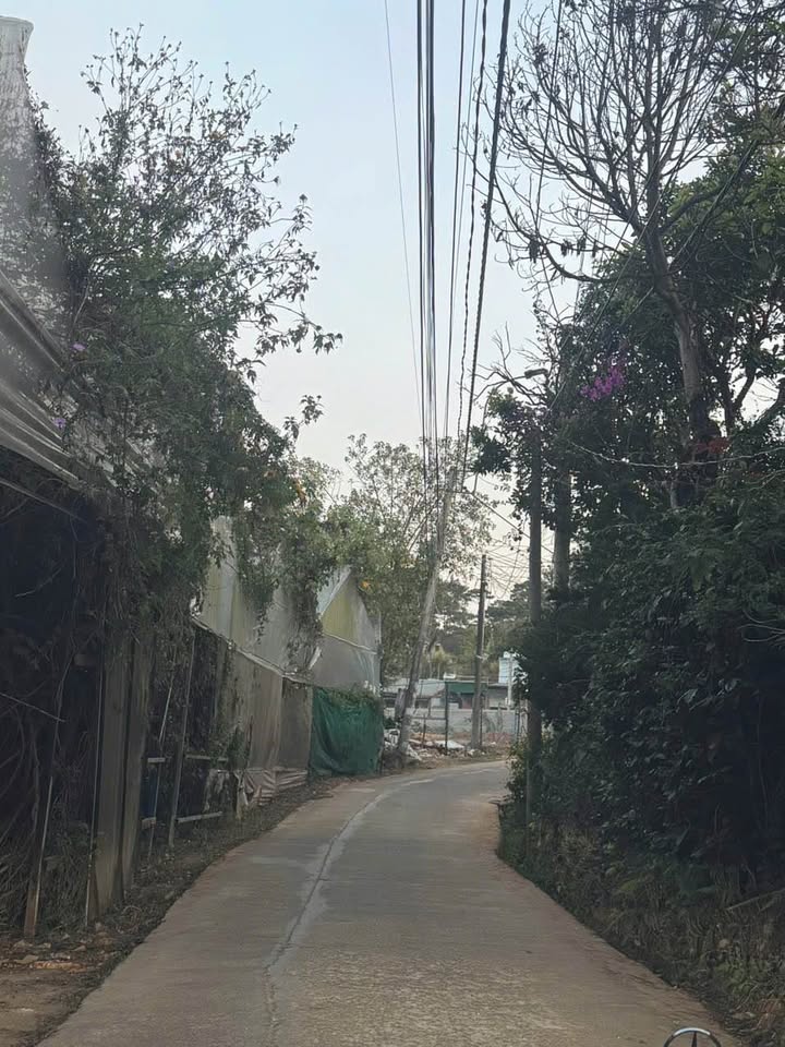 Đất nền đường Hàn Thuyên, phường 5 Đà Lạt 62,2m² giá 570 triệu - Pháp lý rõ ràng!