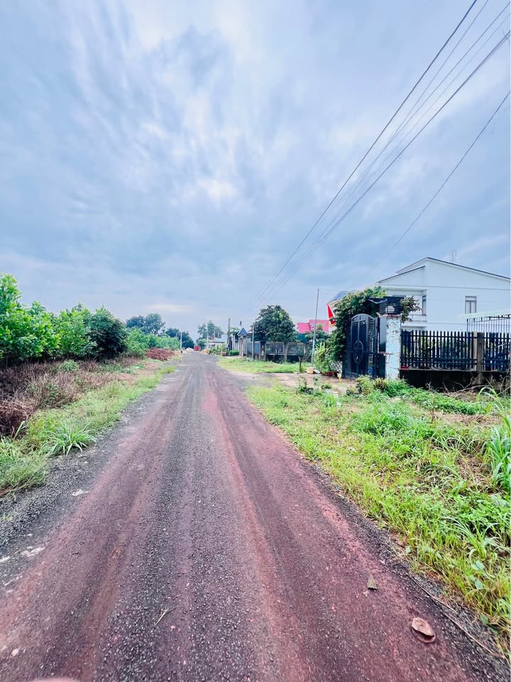 Đất nền Tân Bình, Đồng Xoài 430m² - Giá chỉ 1 tỷ, đầu tư sinh lời!