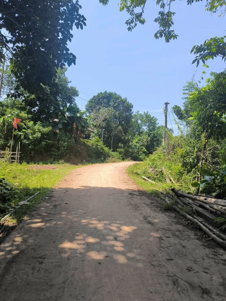 Đất đẹp 1752m² tại Tân Lạc, Hòa Bình - Chính chủ bán gấp!