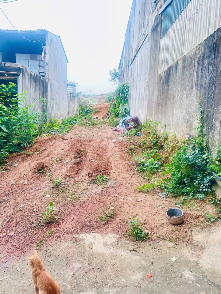 Đất thổ cư Tuyên Quang 128m² giá 1 tỷ - Đầu tư sinh lời nhanh!