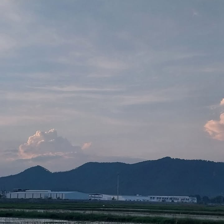 Đất nền tại Nga Phú, Thanh Hóa 126m² - Vị trí đẹp, sổ đỏ chính chủ!