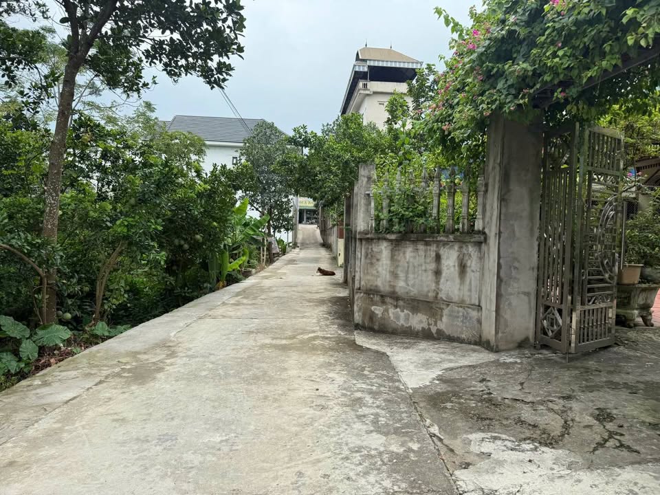 Đất nền Phú Nghĩa 505m² giá 2 tỷ - Lô góc 2 mặt tiền đẹp