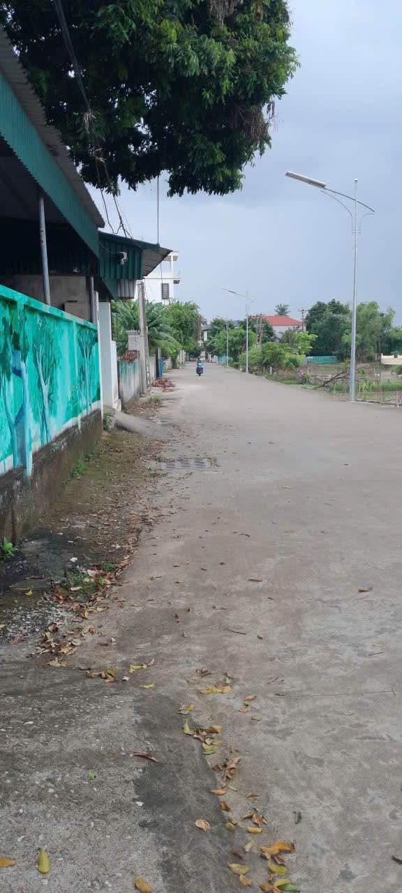 Đất mặt đường Sơn Vạn, phường Hạc Thành, 300m² giá 4.45 tỷ - Chính chủ bán nhanh!