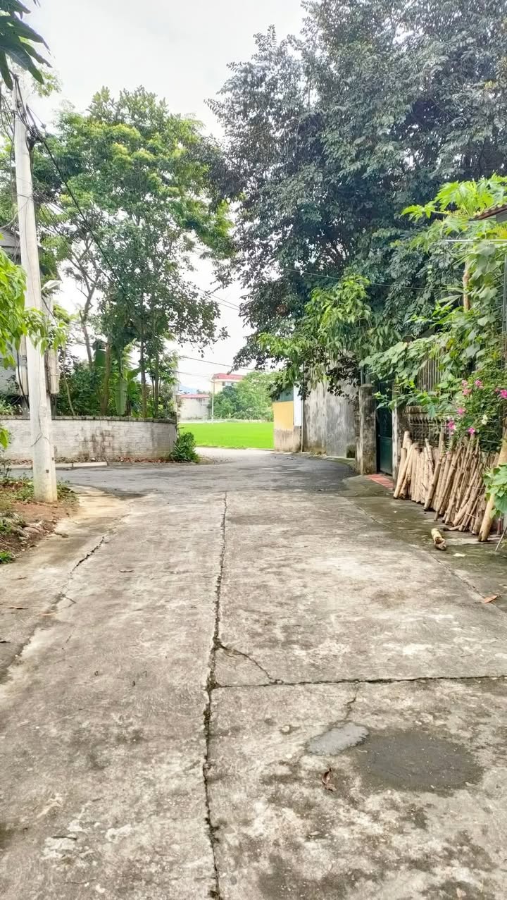 Đất thổ cư Tân Hà 117m² giá 1.8 tỷ - Pháp lý rõ ràng, ô tô đỗ cửa!