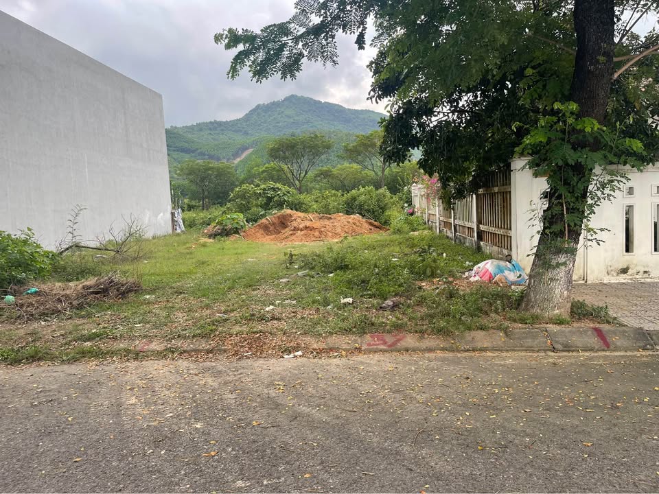 Đất TĐC Hòa Ninh 117,5m² giá 2,0 tỷ - Sẵn sàng đầu tư ngay!