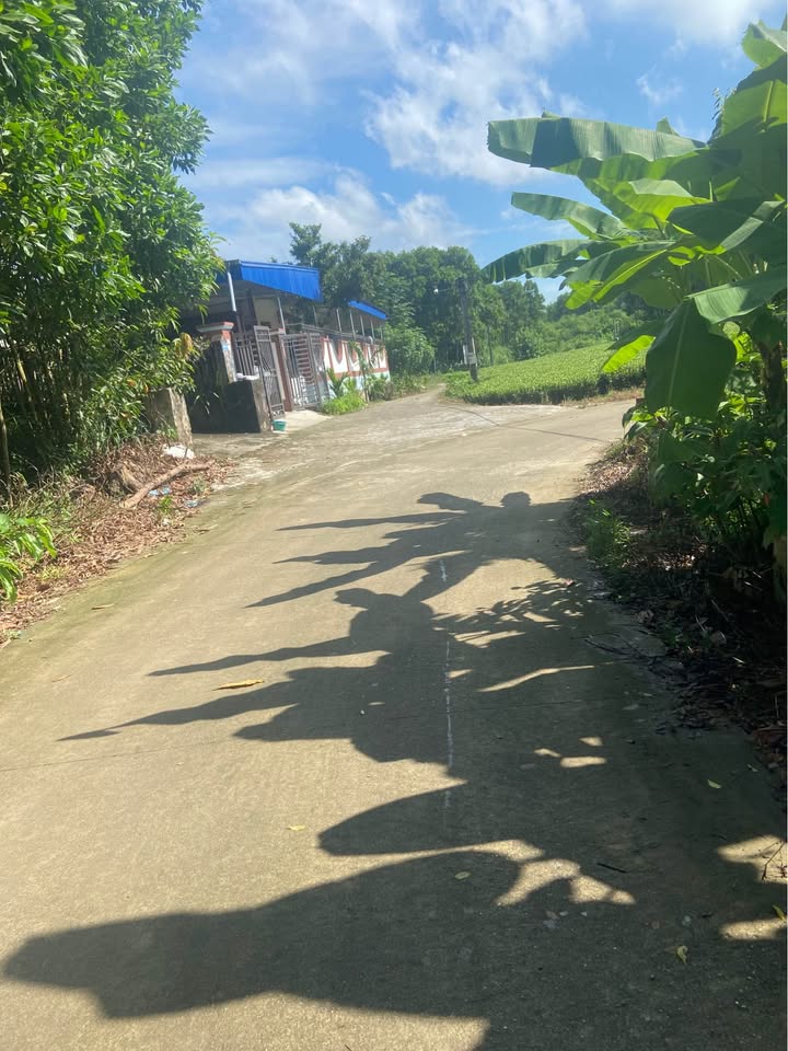 Đất nền Vô Tranh, Phú Lương 1000m² giá 1 tỷ - Cơ hội đầu tư tuyệt vời!