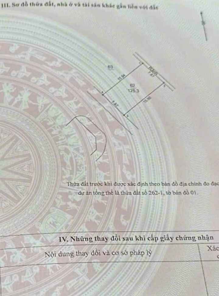 Đất dịch vụ Yên Vĩnh Hoài Đức 125.3m² giá đầu tư - Mặt tiền rộng, tiện ích đầy đủ!