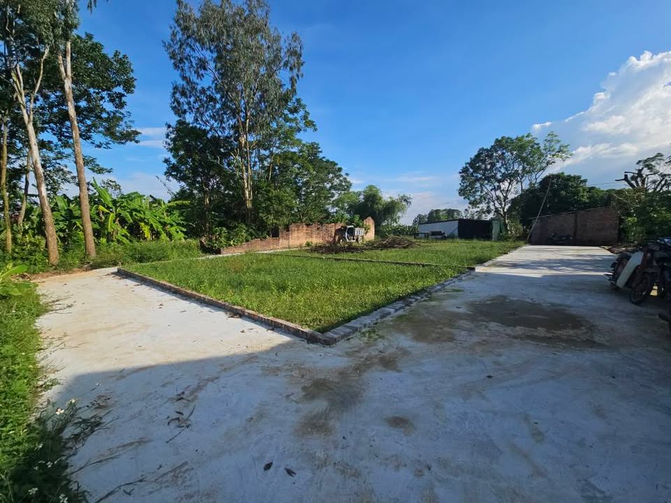 Đất thổ cư Xuân Đổng, Tân Minh 81m² giá chỉ 1 tỷ - Cơ hội đầu tư tuyệt vời!