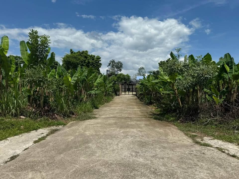 Đất nền Hồng Tiến Phổ Yên 100m² giá 600-700 triệu - Pháp lý rõ ràng, đầu tư tốt!