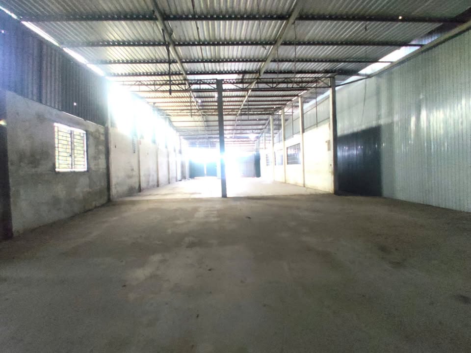 Kho cho thuê tại Mỹ Hạnh Đông, Cai Lậy - 500m² giá 15 triệu - Địa điểm lý tưởng cho kinh doanh!