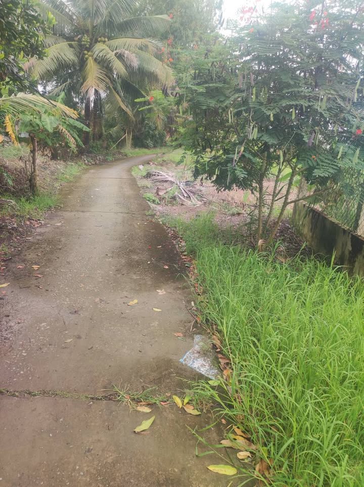 Nhà và đất 600m² tại Ấp An Bình, Gò Quao chỉ 1.35 tỷ - Cơ hội đầu tư vàng!