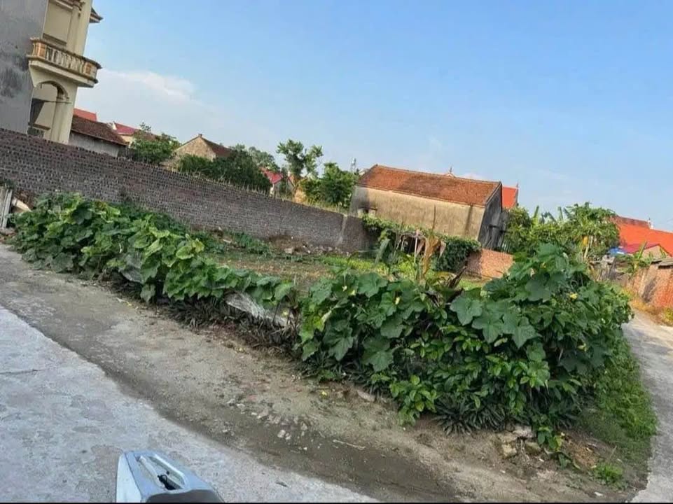 Đất nền lô góc đường Cao Đức, Gia Bình 140m² giá 2 tỷ - Sổ đỏ chính chủ!