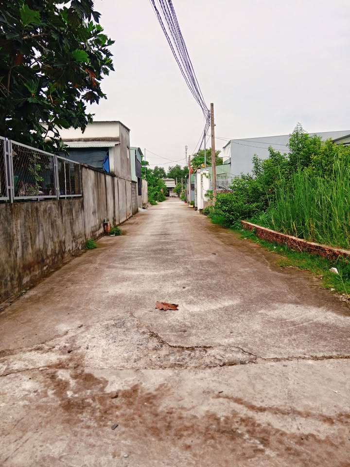 Đất nền Phước Tân Biên Hòa 87m² giá 390 triệu - Sổ hồng chính chủ, thuận tiện đầu tư!