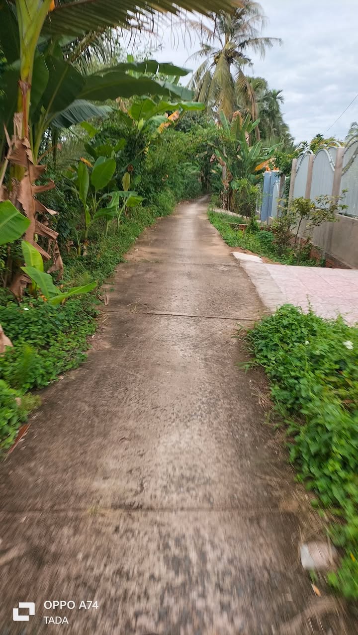 Đất nền Tân Long, Mang Thít, Vĩnh Long 206m² - Cơ hội đầu tư hấp dẫn!