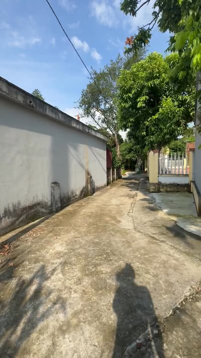 Đất nền Tùng Thiện, Sơn Tây 972m² - Cơ hội đầu tư sinh lời!