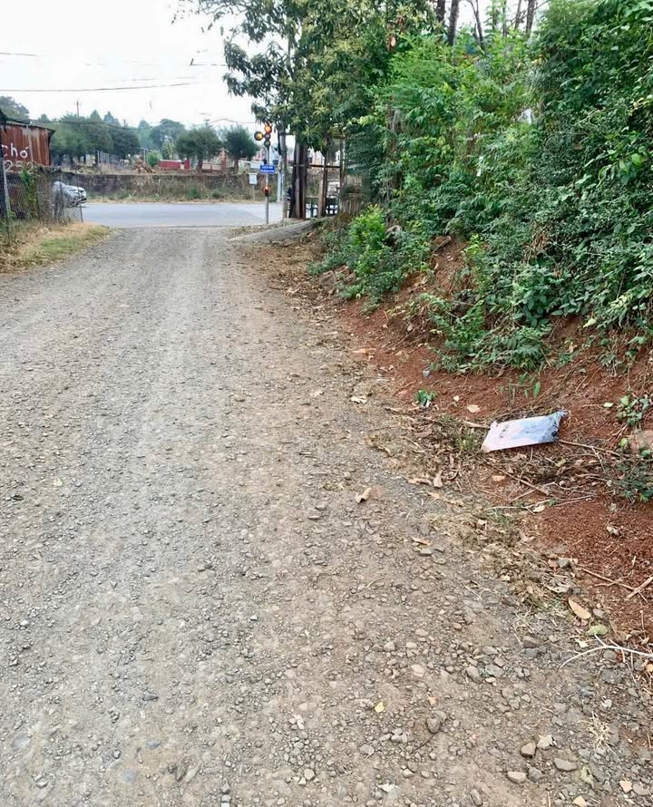 Đất hẻm 147 Giải Phóng, Buôn Ma Thuột 150m² - Sổ đỏ chính chủ, giá chỉ 2.8 tỷ!