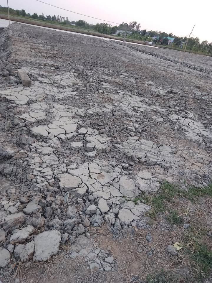 Đất nền chính chủ tại Cống Bà Cai, Cà Mau 300m² - Giá chỉ 300 triệu!