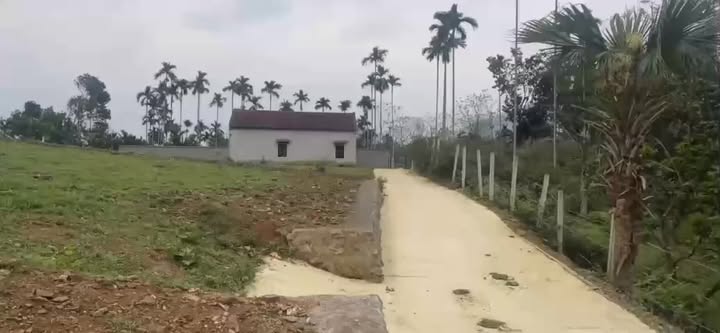 Đất nền Yên Bình Thạch Thất 1248m² giá 7.488 tỷ - Cơ hội đầu tư hiếm có!