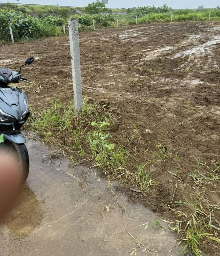 Lô đất vườn Hòa Phong Hòa Vang Đà Nẵng 339m² - Không gian trong lành, mát mẻ