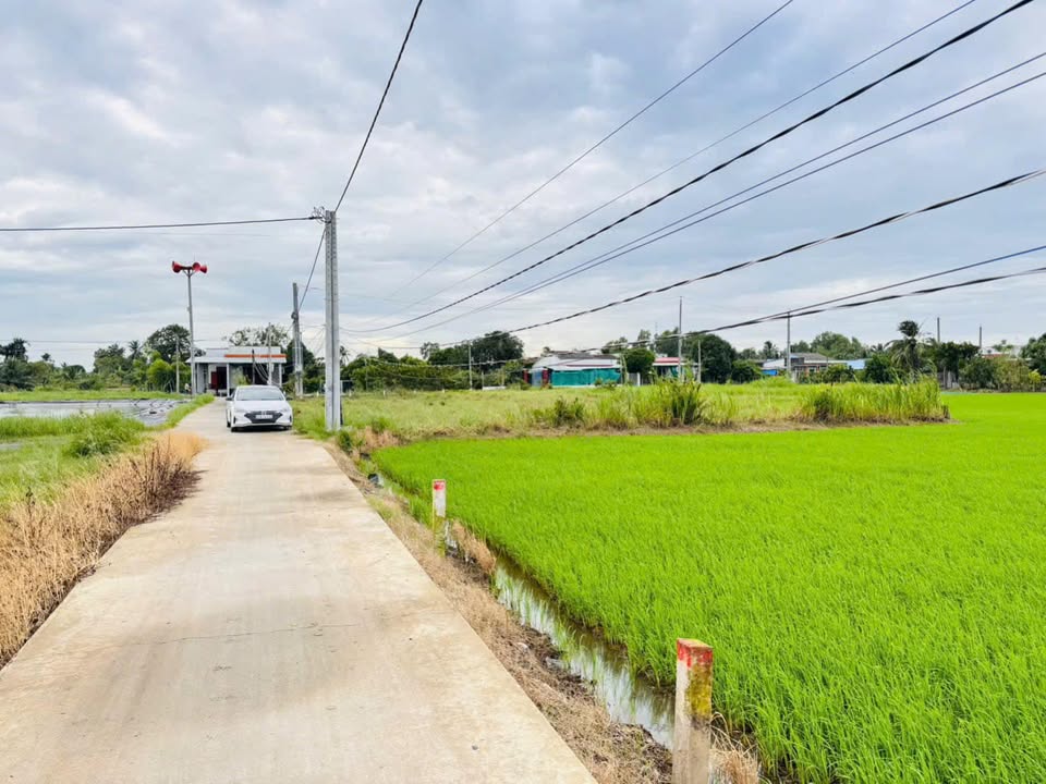 Đất Thổ Cư Bình Lãng 135m² giá 465 triệu - Chính chủ, thuận tiện giao thông!